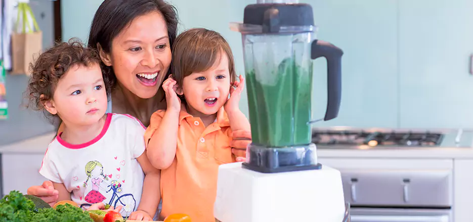 Juicer and Mixer Blender Repair in Union City
