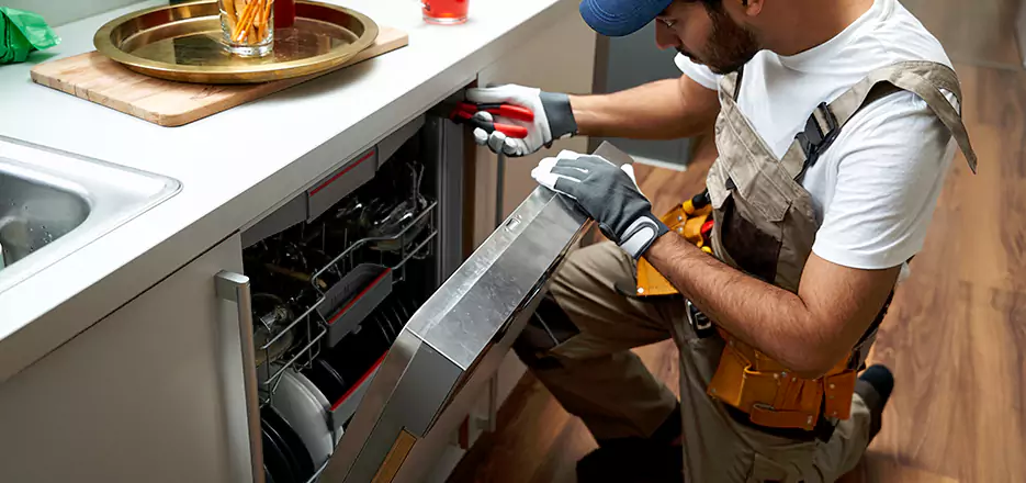 Same Day Dishwasher Not Draining Repair in Union City