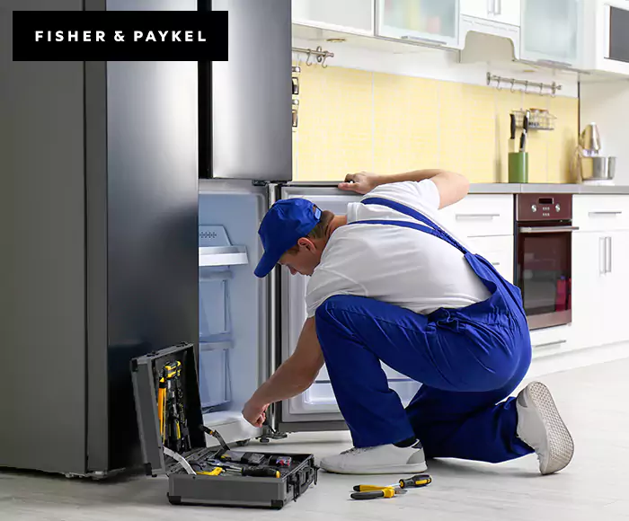 Top-Rated Fisher & Paykel Appliance Experts: Your Brand Specialist in Union City, NJ